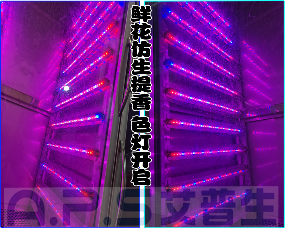 12、植物鮮花低溫萃取精華液專用設備=鮮花提香色燈開啟.jpg