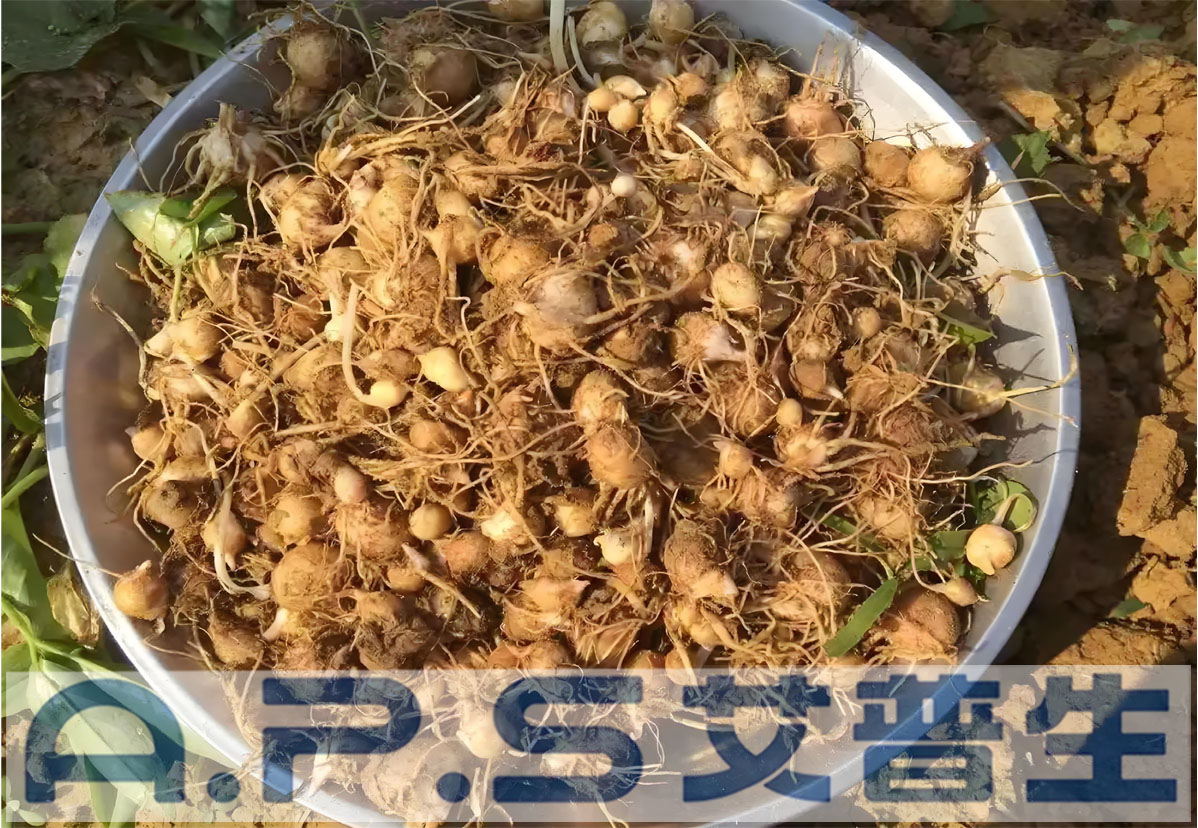 艾普生半夏熱泵烘干機(jī)-3.jpg